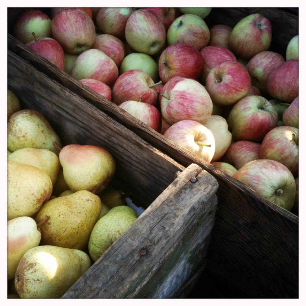 Wooden orchard bins filled with freshly picked fruit at the farm stand