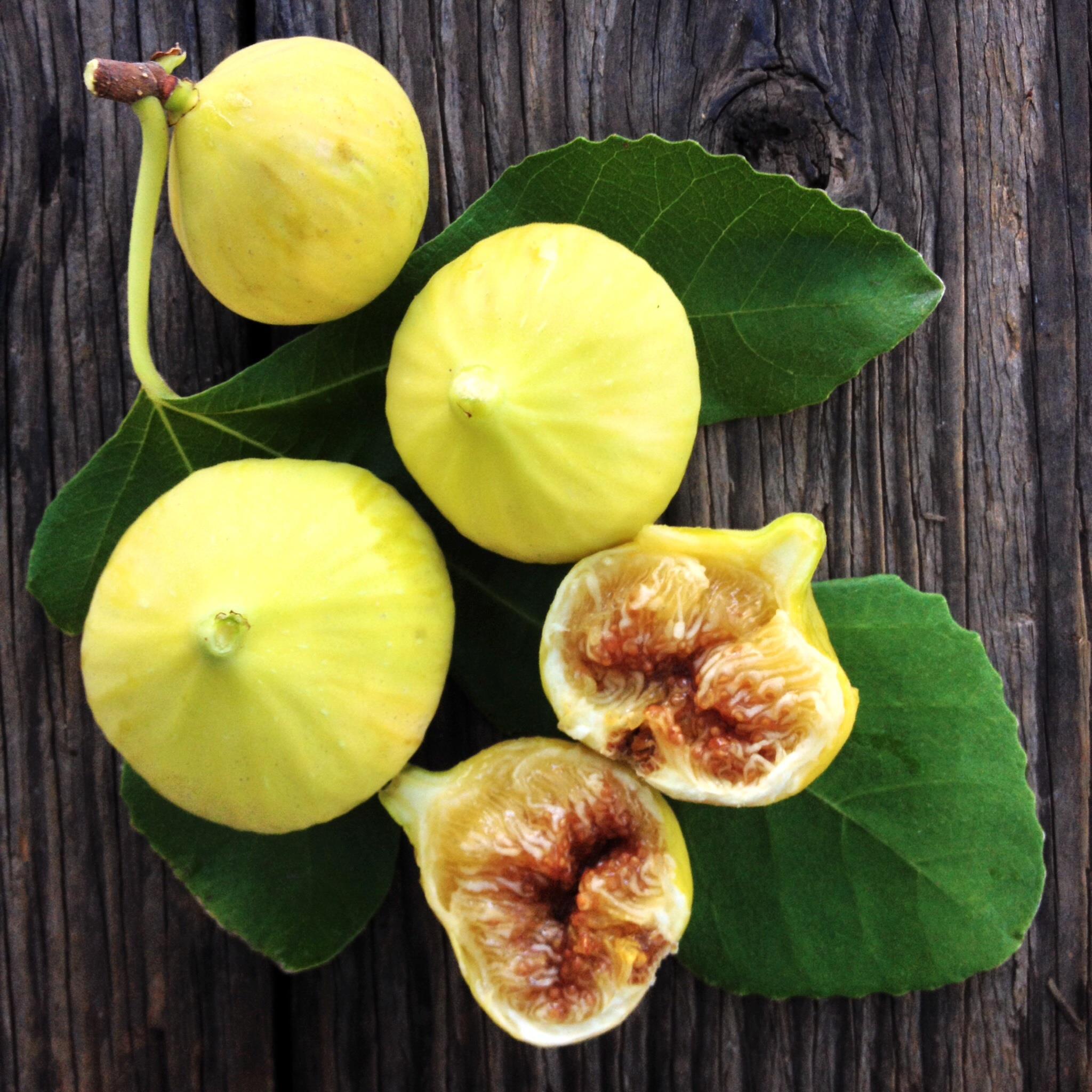Yellow figs, whole and halved, resting on fig leaves